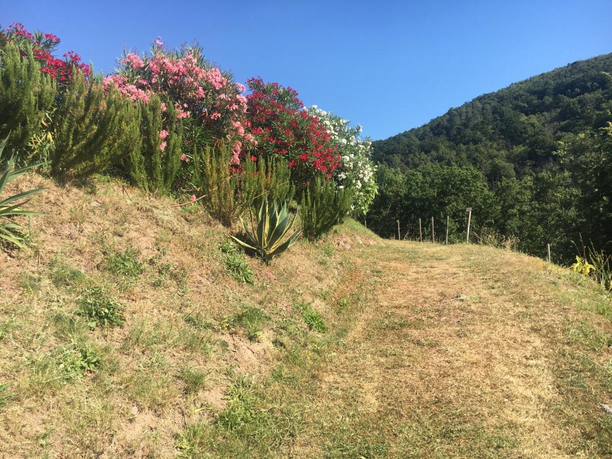 Cinque Terre, Tuscany, Liguria, Lerici #5 Ngoại thất bức ảnh